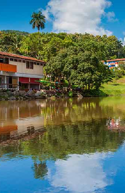 El Jolgorio. Las Terrazas 2025